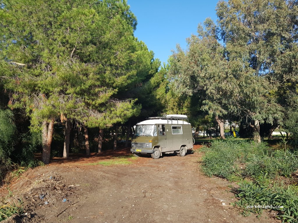 Talat Göktepe Pine Grove Campground — foto