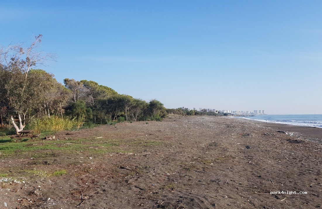 Talat Göktepe Pine Grove Campground — foto 2
