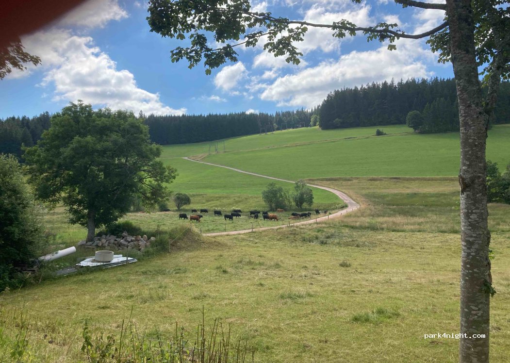 (78141) Schönwald im Schwarzwald - Franz-Schubert-Straße — foto
