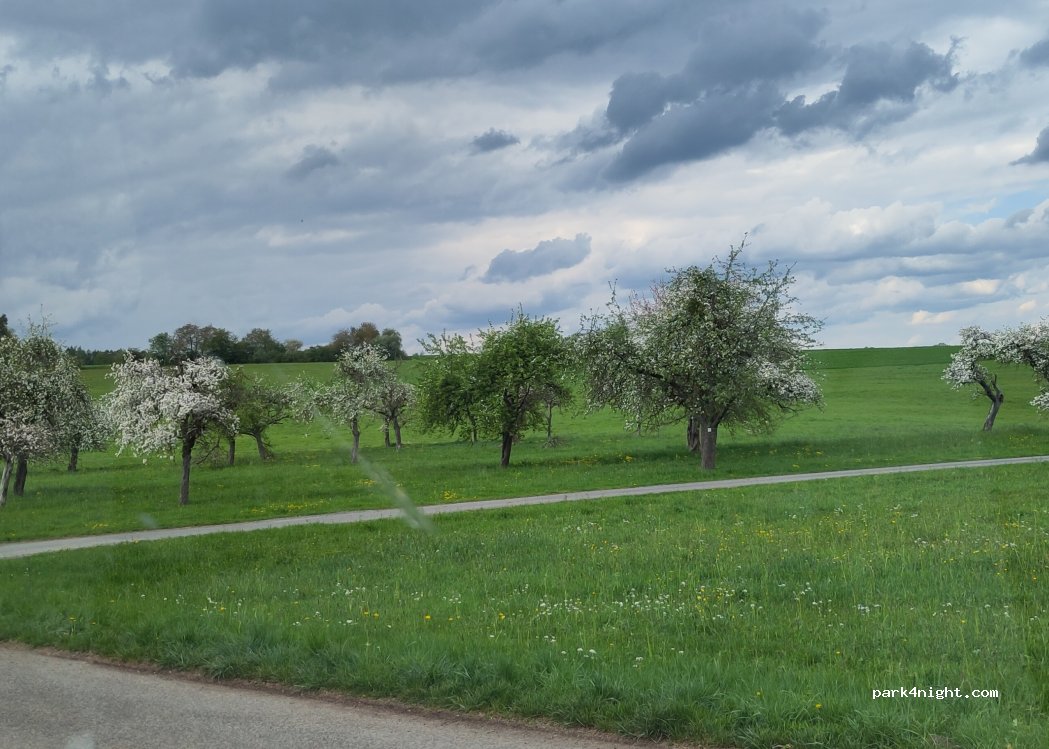 (97851) Rothenfels - Käsreißenweg — foto 5