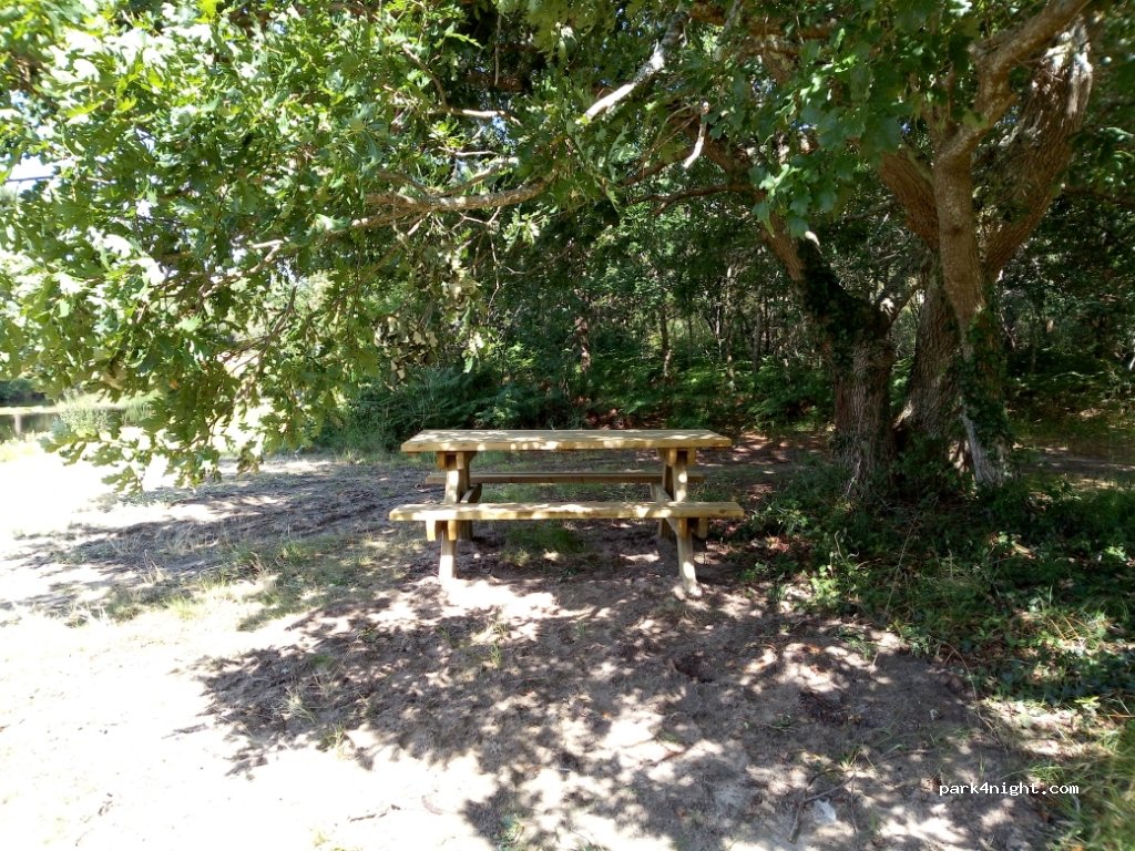 (40600) Biscarrosse - 82 Impasse Myrices — foto 2