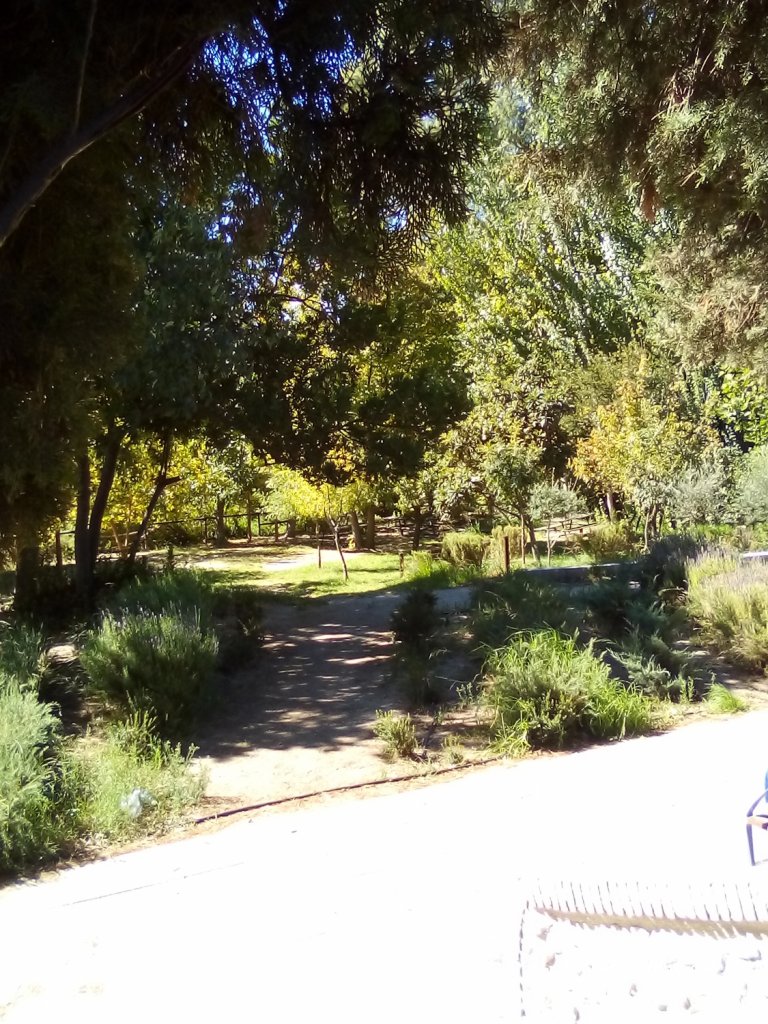 (18640) Padul - Carretera Bailén-Motril — foto 4