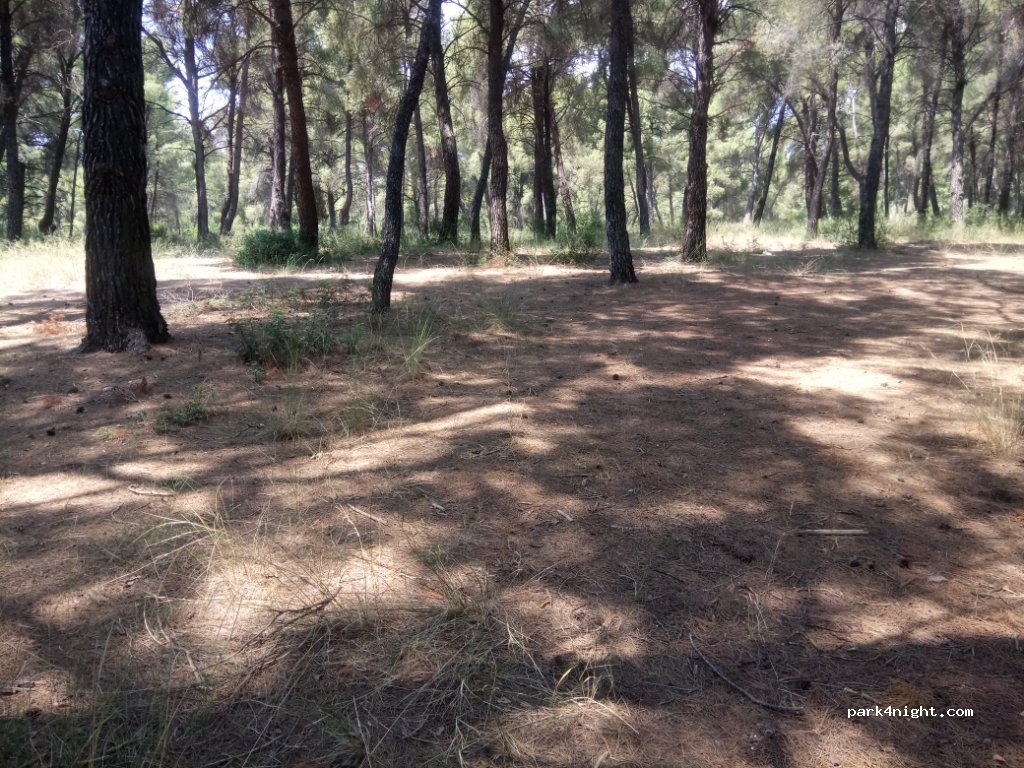 (630 78) Metamorfosi - Eparchiaki Odos Poligirou-Agiou Nikolaou — foto