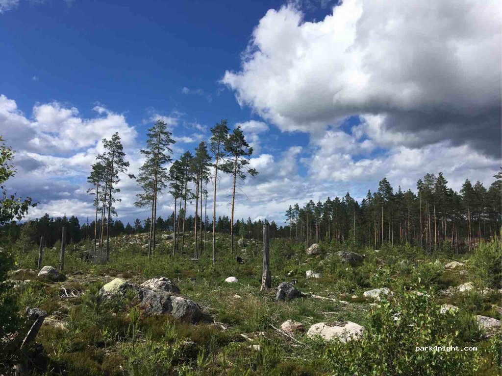 (828 92) Furudal - Unnamed Road — foto