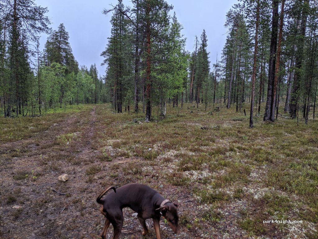 (99800) Inari - 3853 Rajajoosepintie — foto 3