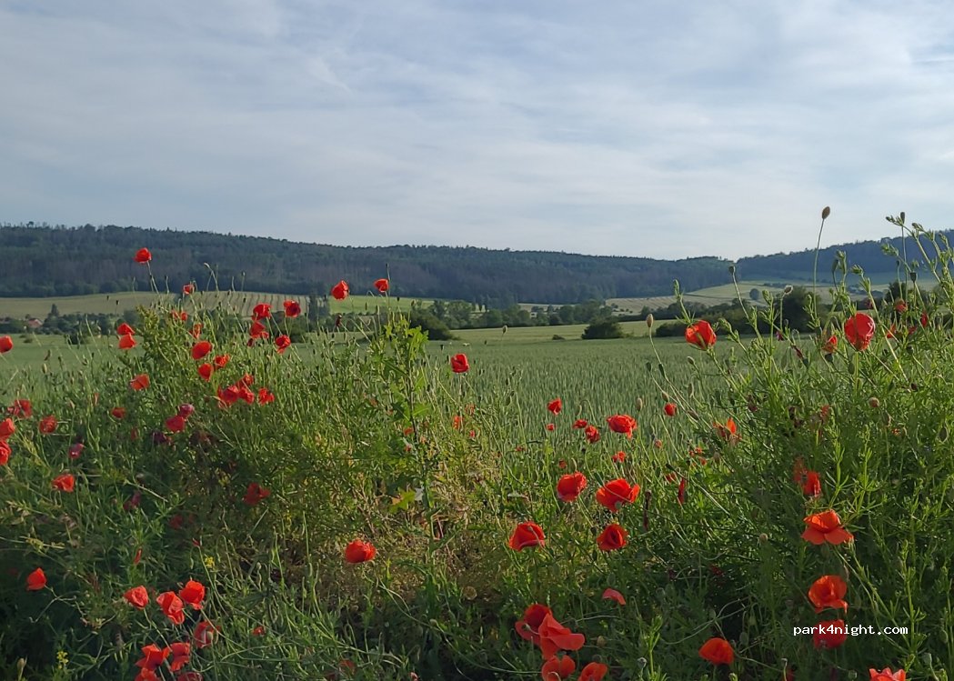 (99448) Hohenfelden - Unnamed Road — foto 4