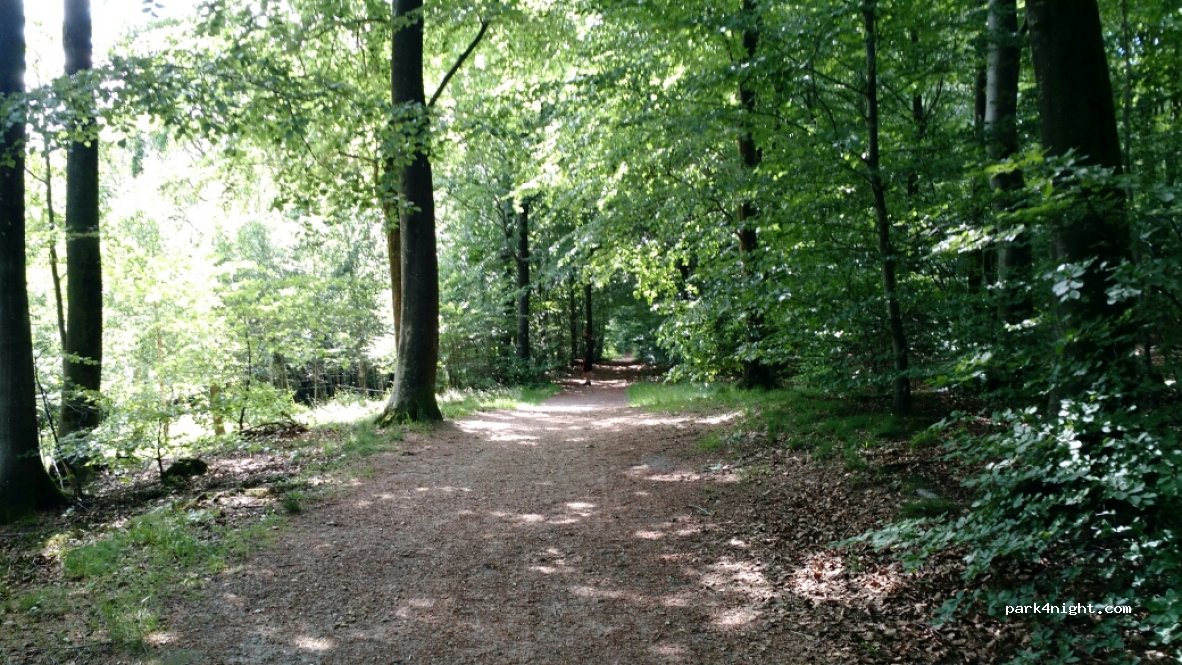 (6630) Rødding - Koldingvej — foto 3