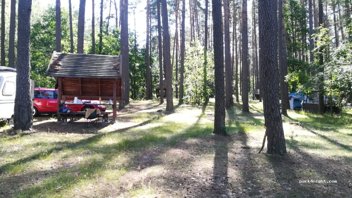 (89-505) Trzebciny - unnamed road — foto 2