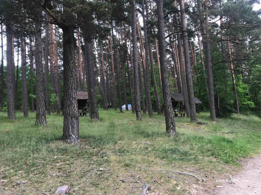 (89-505) Trzebciny - unnamed road — foto 3