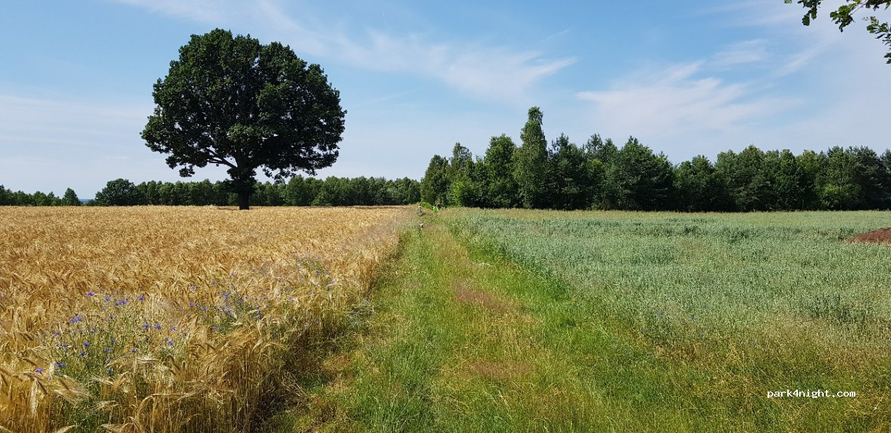 (26-332) Sławno - Unnamed Road — foto 4