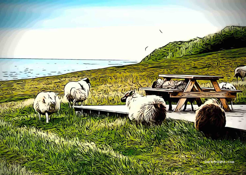 ()  - Skálavíkurvegur — foto 5