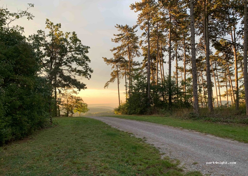 (97877) Wertheim - Götzenberg 41 — foto 3