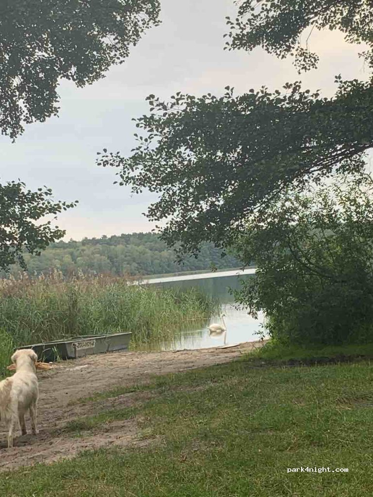 (66-203) Nowy Dworek - Unnamed road — foto 2