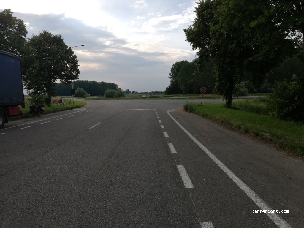 (9850) Nevele - Leikanttragel — foto