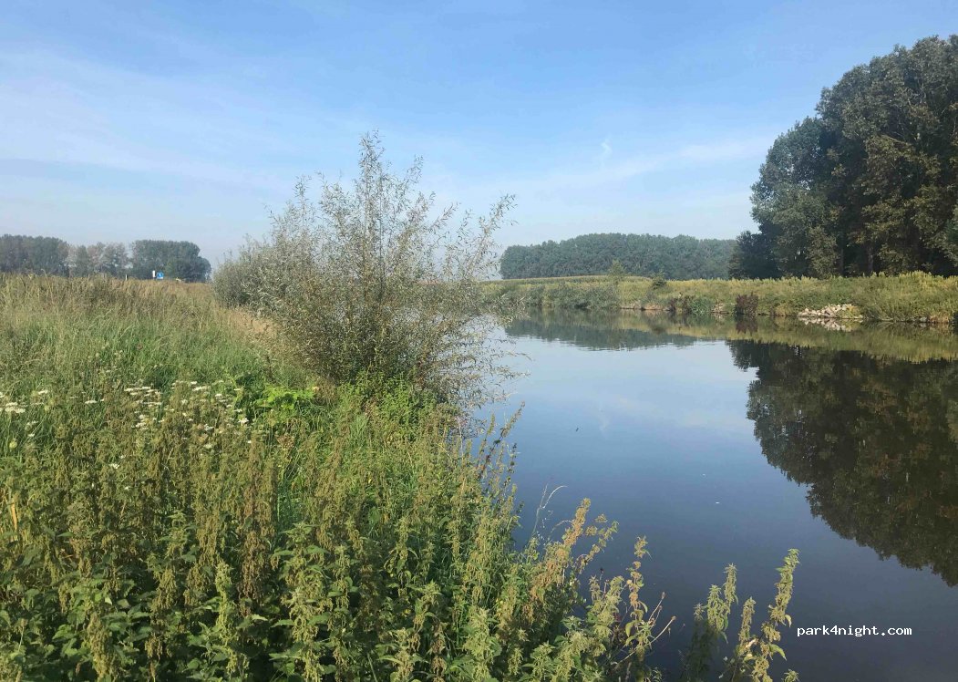 (9850) Nevele - Leikanttragel — foto 3