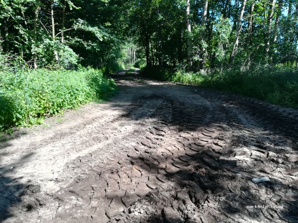 (82-213) Miłoradz - Unnamed Road — foto 3