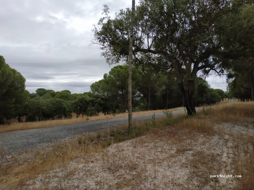 (7490) Cabeção - Unnamed Road — foto