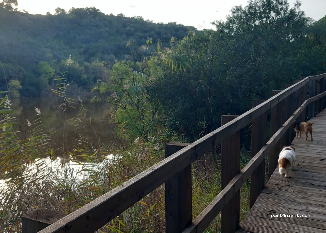 (7490) Cabeção - Unnamed Road — foto 4
