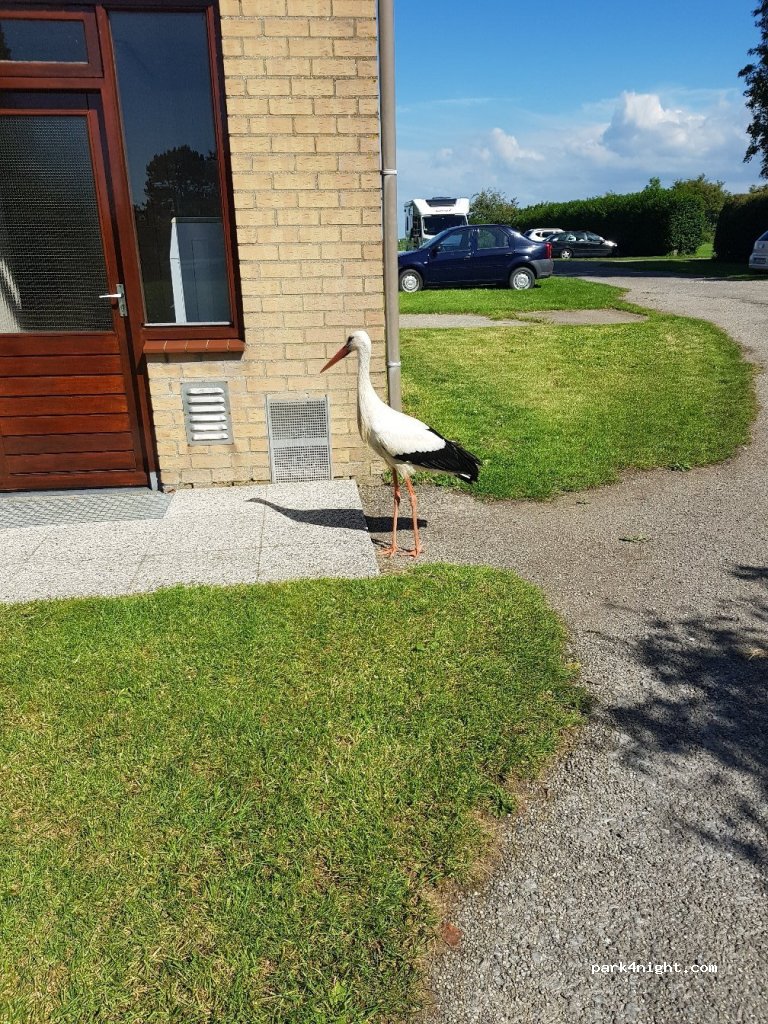 Camping De Lange Strink — foto
