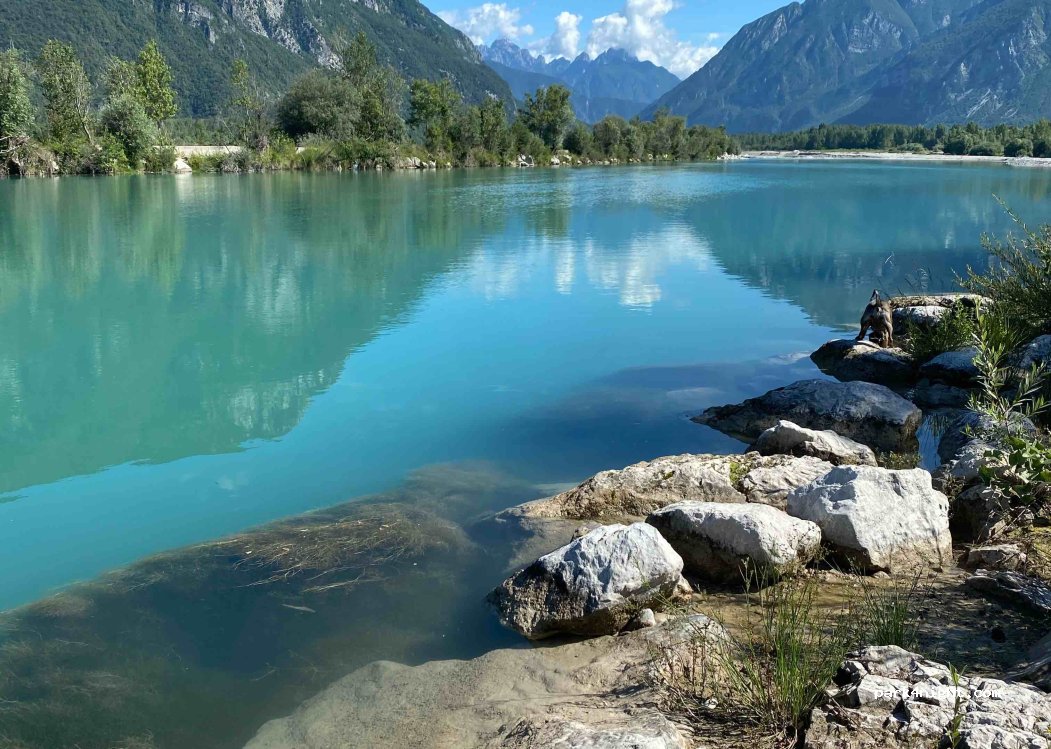 (33013) Gemona - 165 Via Nazionale — foto 2