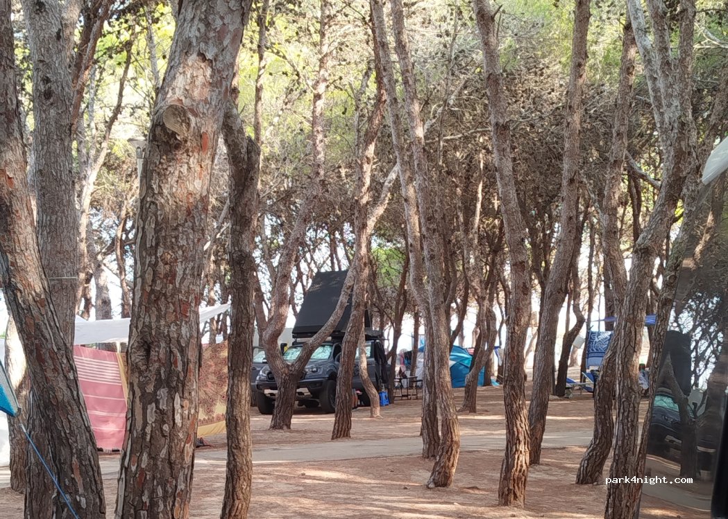 La Vecchia Torre Camping Gallipoli — foto 4