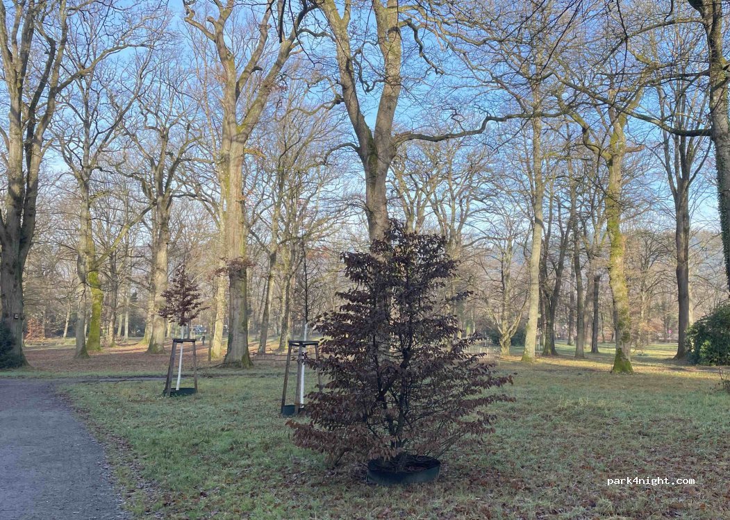 (79117) Freiburg im Breisgau - 22 Eggstraße — foto 4