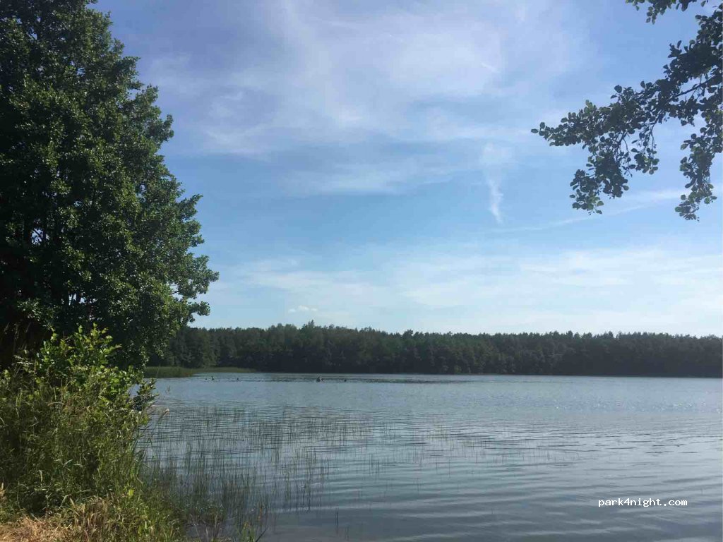 (83-400) Dobrogoszcz - Unnamed road — foto 2