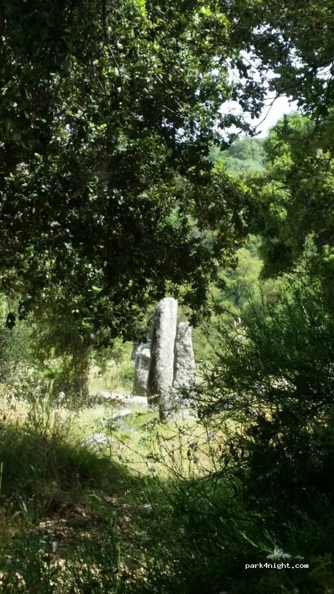 (08038) Sorgono - Strada Statale 388 del Tirso e del Mandrolisai — foto 4