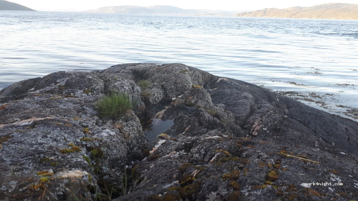 (7316) Lensvik - 14 Primær Fylkesveg 710 — foto