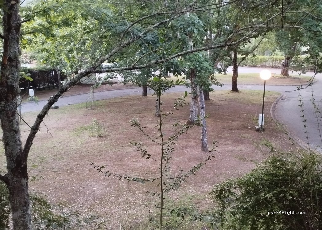 Góis Camping — foto 3