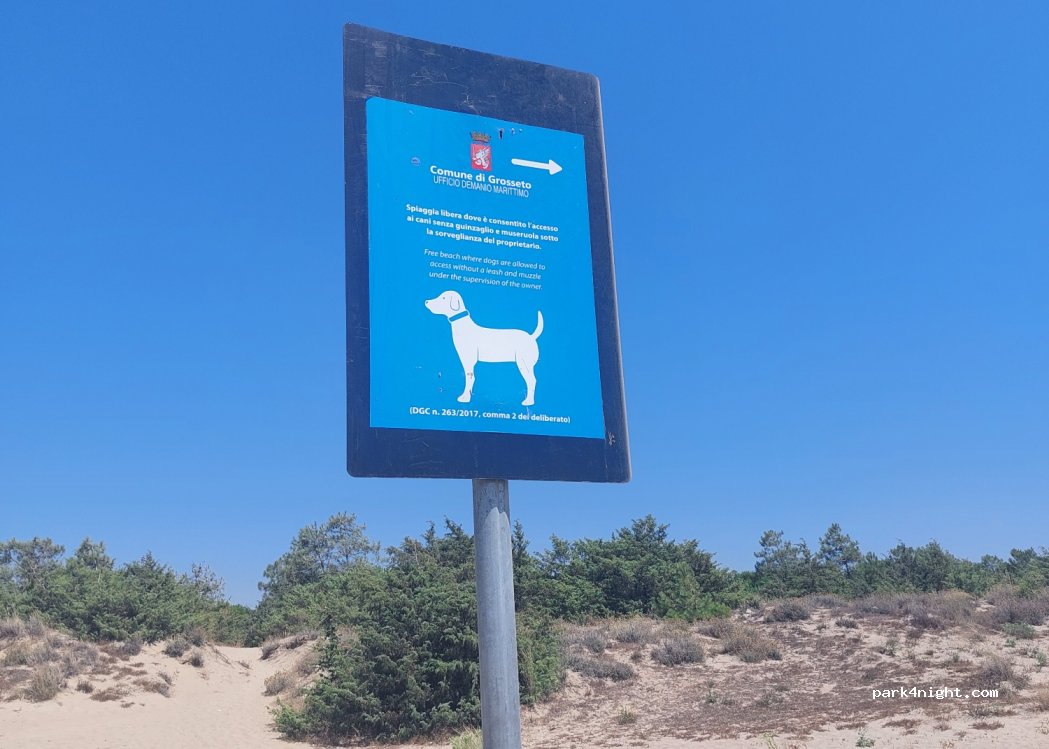 (58100) Marina di Grosseto - 77 Via Francesco Petrarca — foto 3