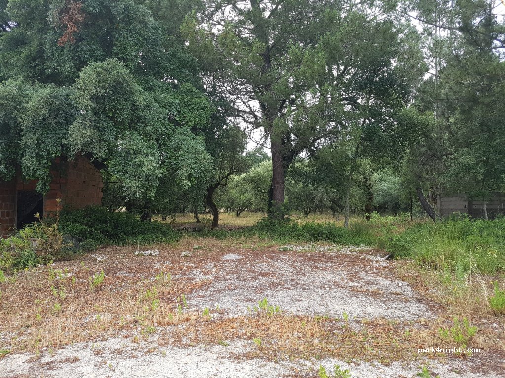 (2395) Minde - 2025 Estrada Nossa Senhora de Fátima — foto 3