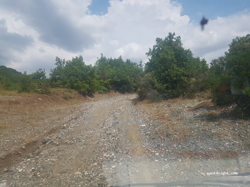 (430 63) Tamassi - Eparchiaki Odos Lianokladiou - Karditsas — foto 2