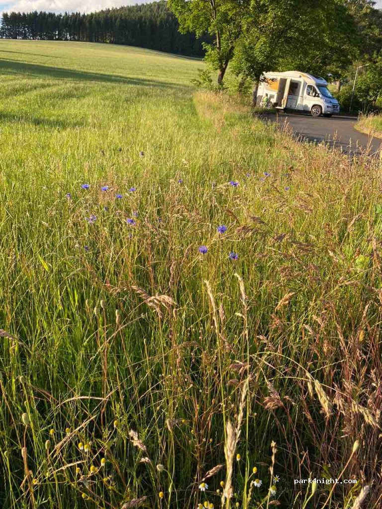 (54636) Biersdorf am See - Ferienstraße — foto