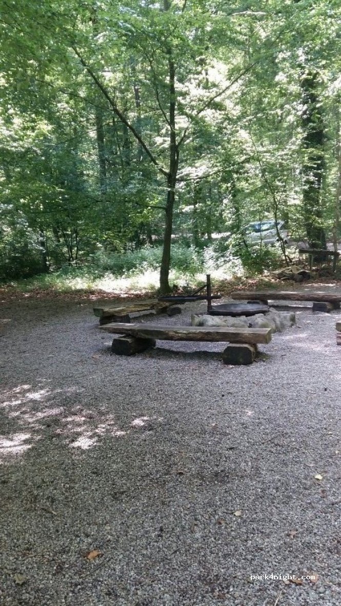 (79801) Hohentengen am Hochrhein - Unnamed Road — foto