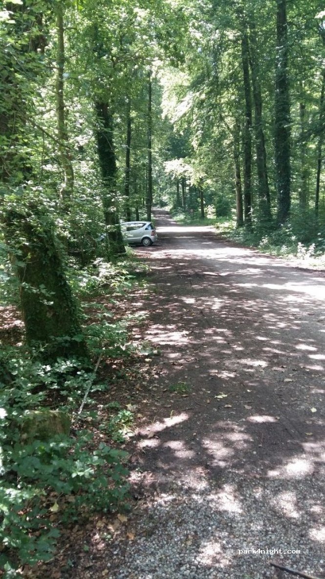 (79801) Hohentengen am Hochrhein - Unnamed Road — foto 2