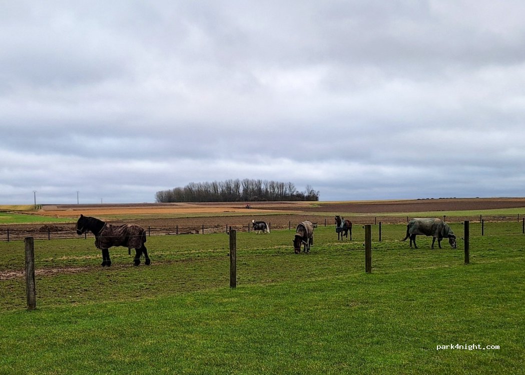 Camperplaats Orcq op — foto 4