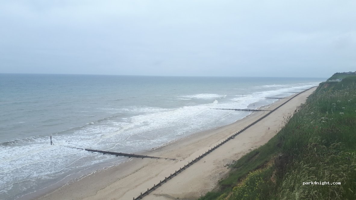 Sandy Gulls — foto 2