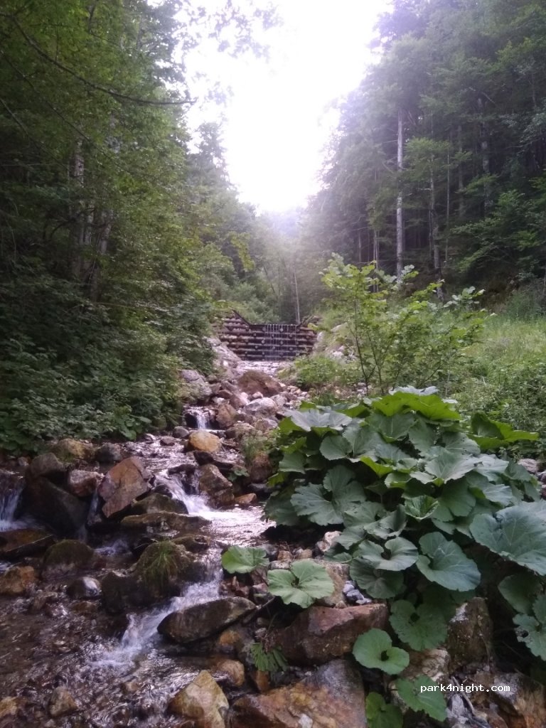 (4205) Vobenca - Kokra — foto 2