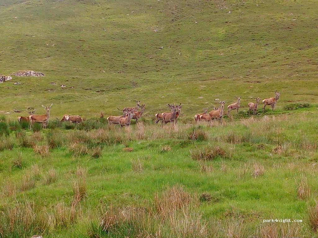 (PH20 1AJ) Newtonmore - General Wade's Military Road — foto 4