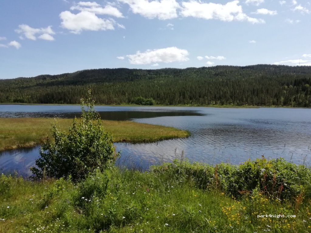 (2480) Koppang - 674 Kjemsjøveien — foto 2