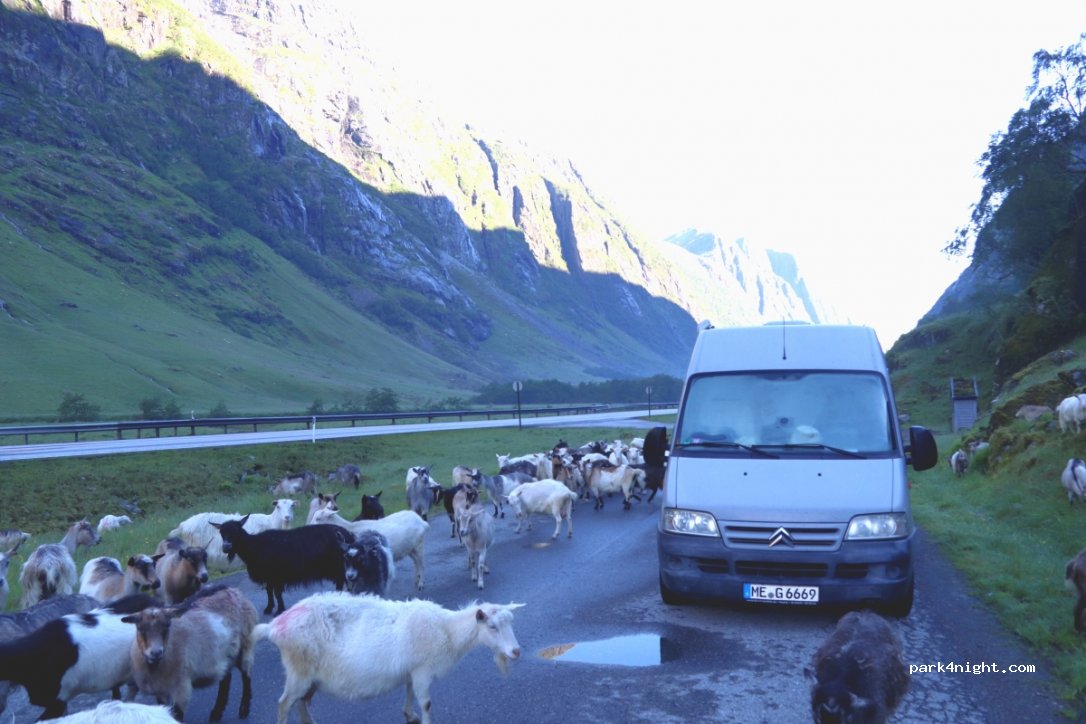 (6843) Jølster - E39 — foto