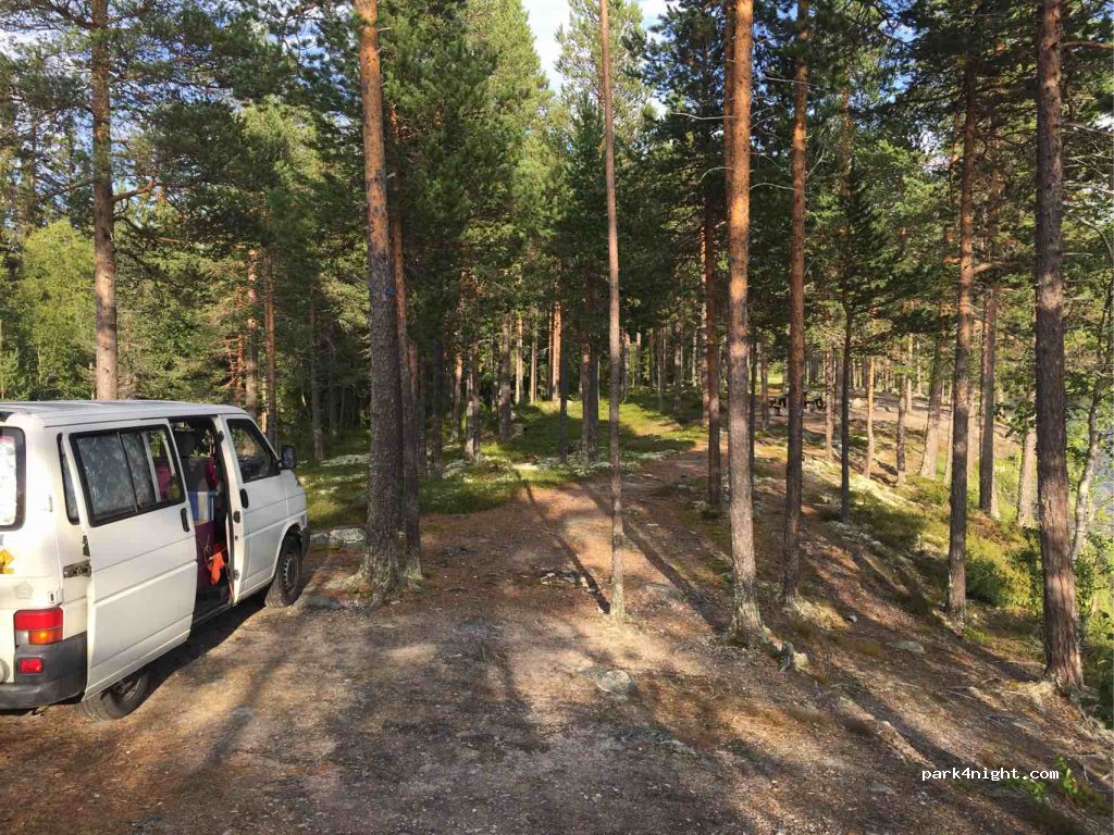 (2440) Engerdal - Primær Fylkesveg 217 — foto