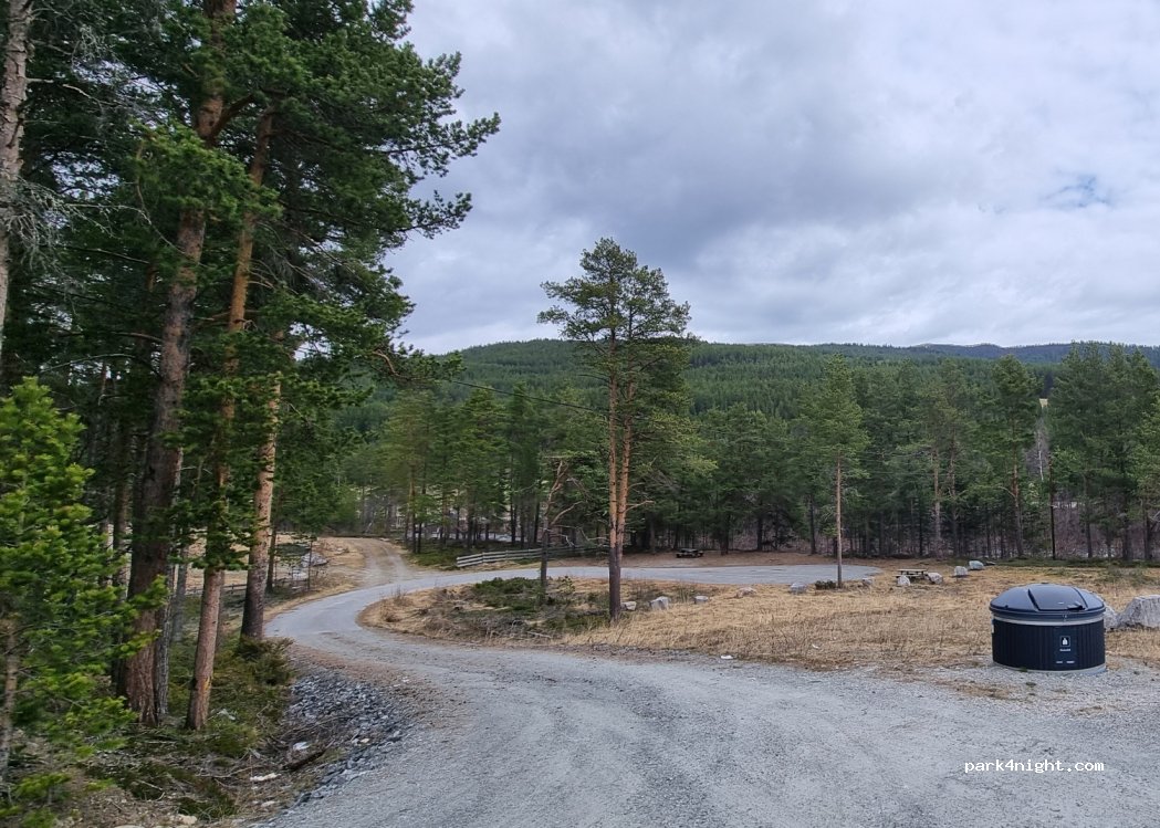 (2582)  - 18 Primær Fylkesveg 29 — foto 2