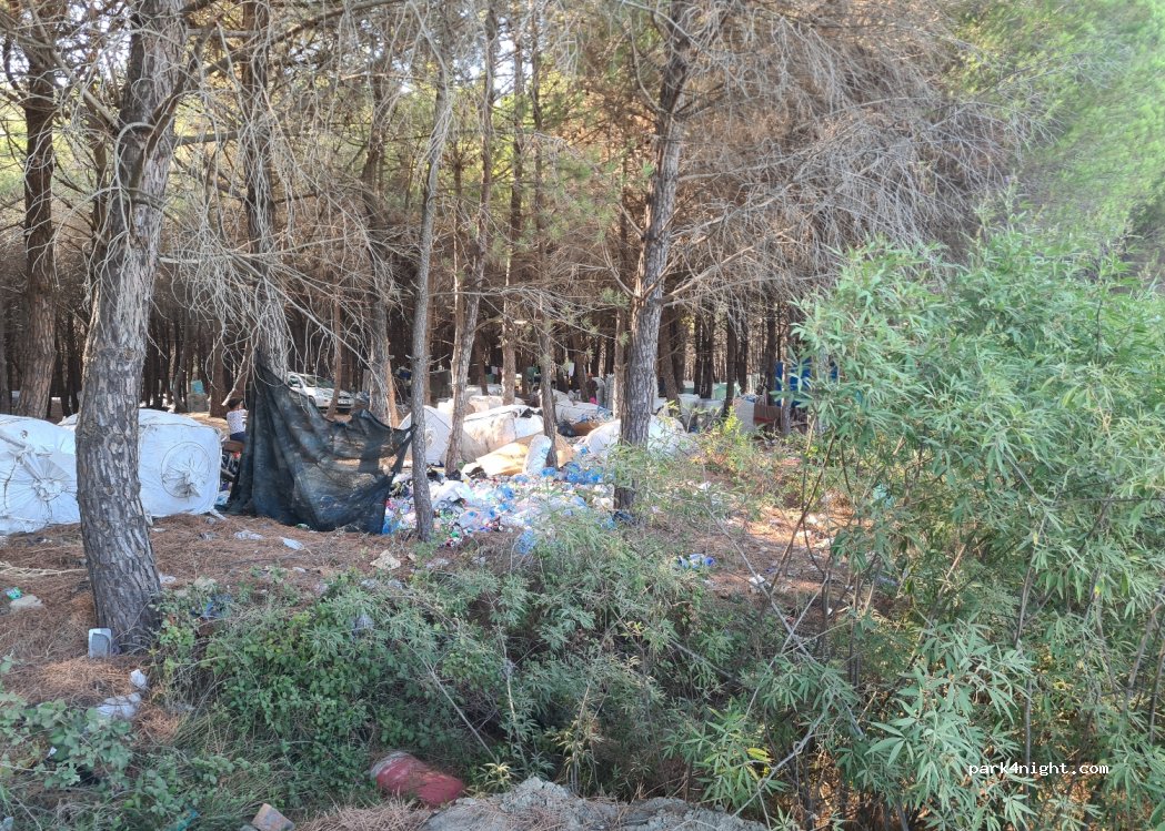 () Spille - Rruga e Pishave — foto 2