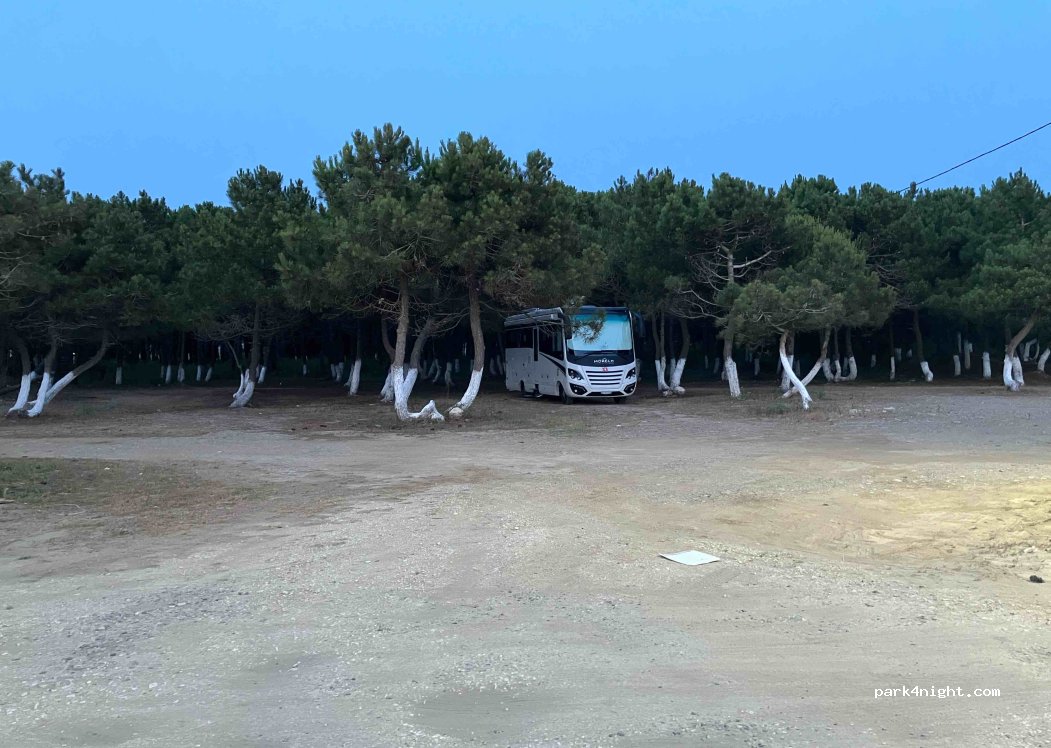 () Spille - Rruga e Pishave — foto 4