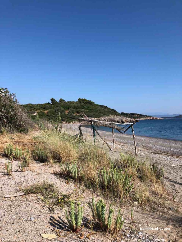 (342 00) Artemisio - Unnamed Road — foto