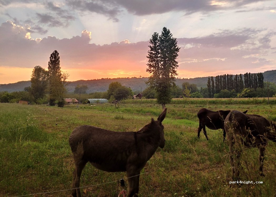 Camping Le Sorbier — foto 4