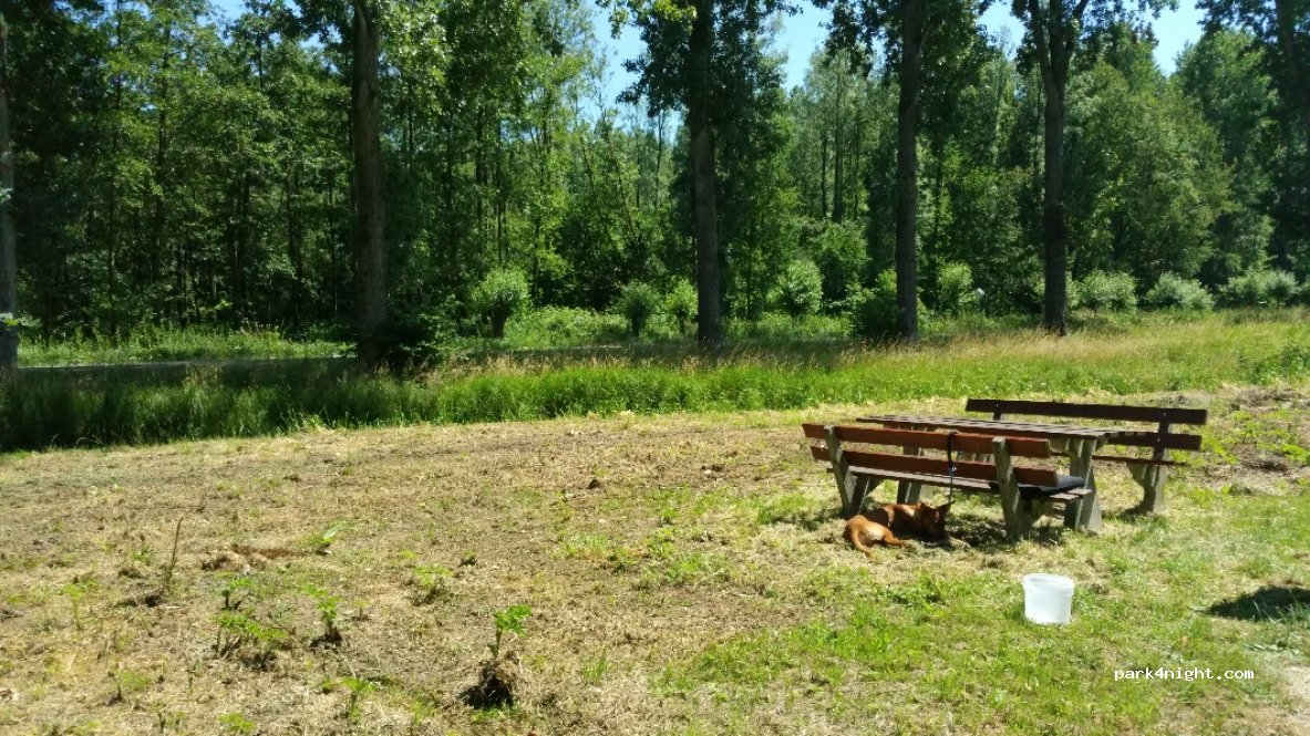 (3356) Papendrecht - Alblasserbos — foto 2