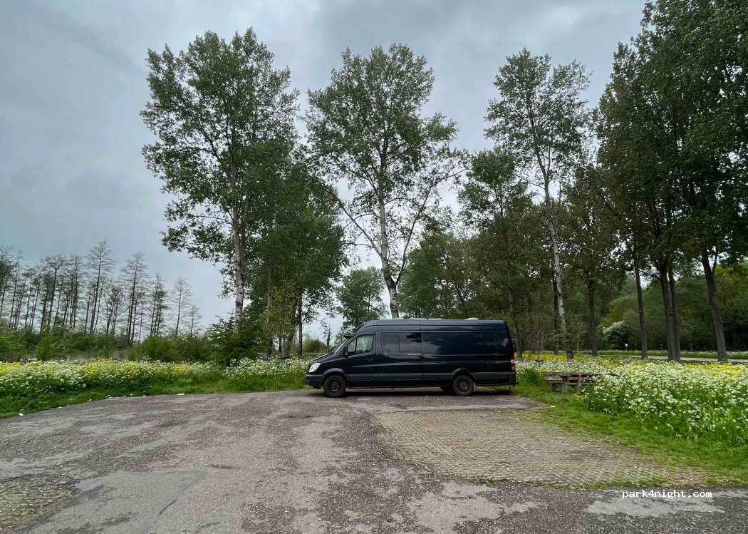 (3356) Papendrecht - Alblasserbos — foto 3